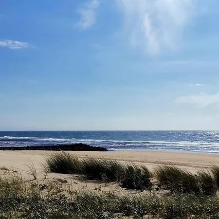 Maison Au Coeur Des Landes, Saint-julien En Born *