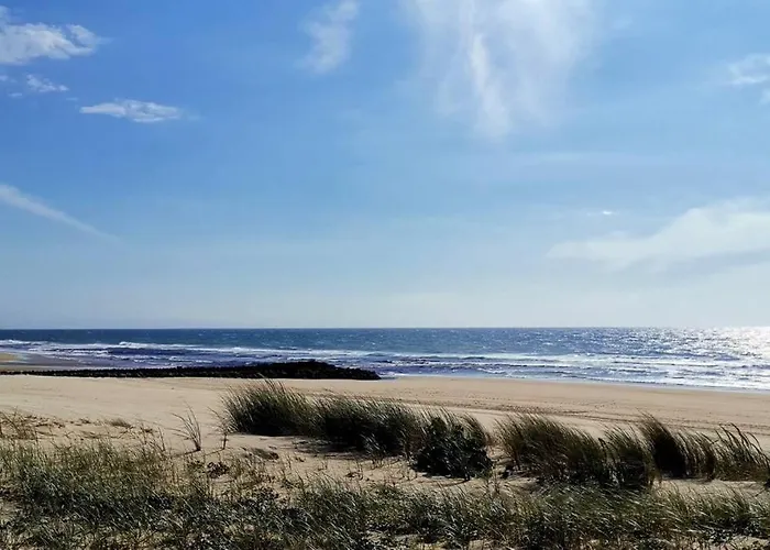 Maison Au Coeur Des Landes, Saint-julien En Born *